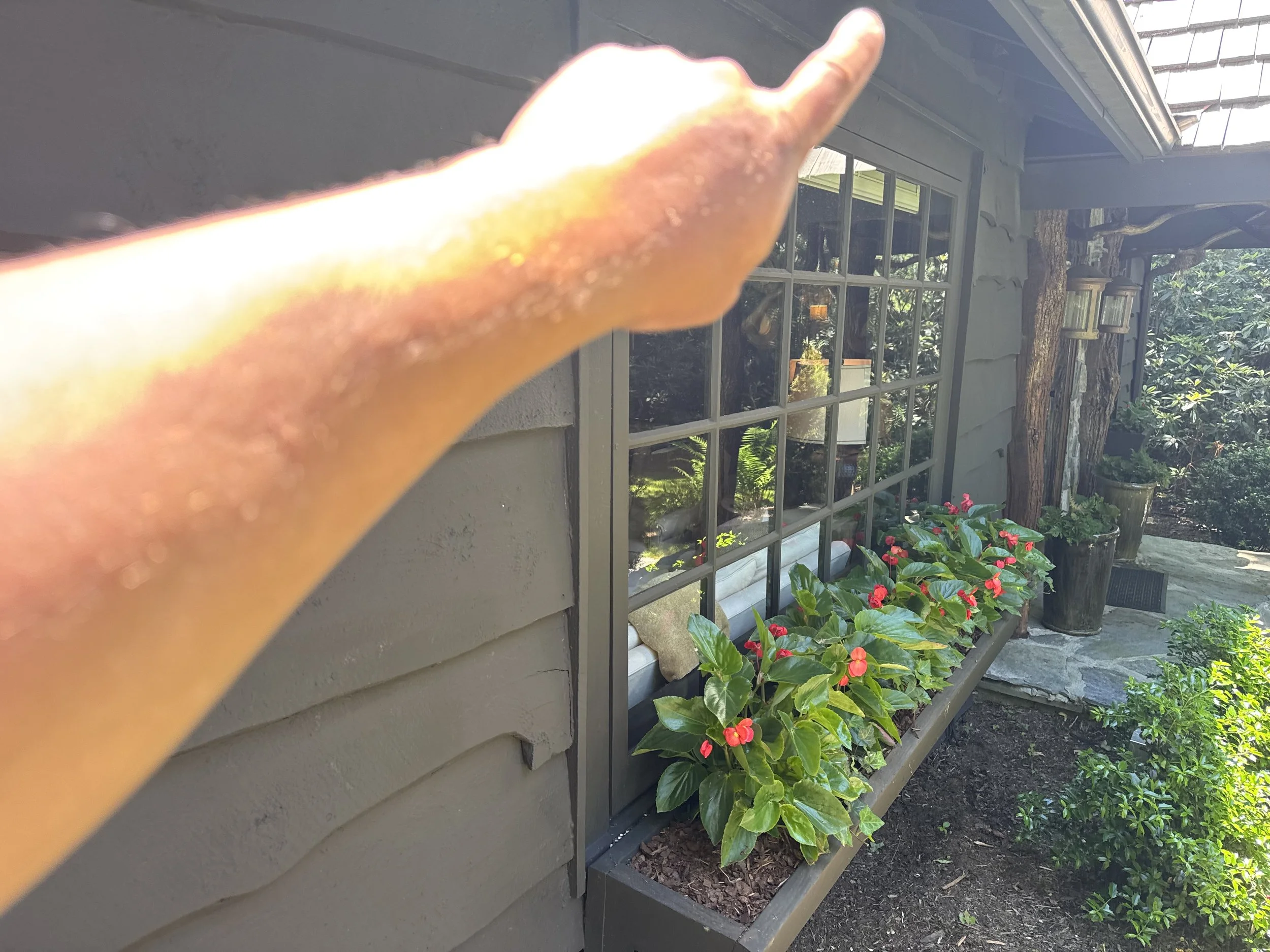 A person's hand and arm pointing toward the sky in front of a house with a garden full of green plants and red flowers, and a wooden deck with lanterns.