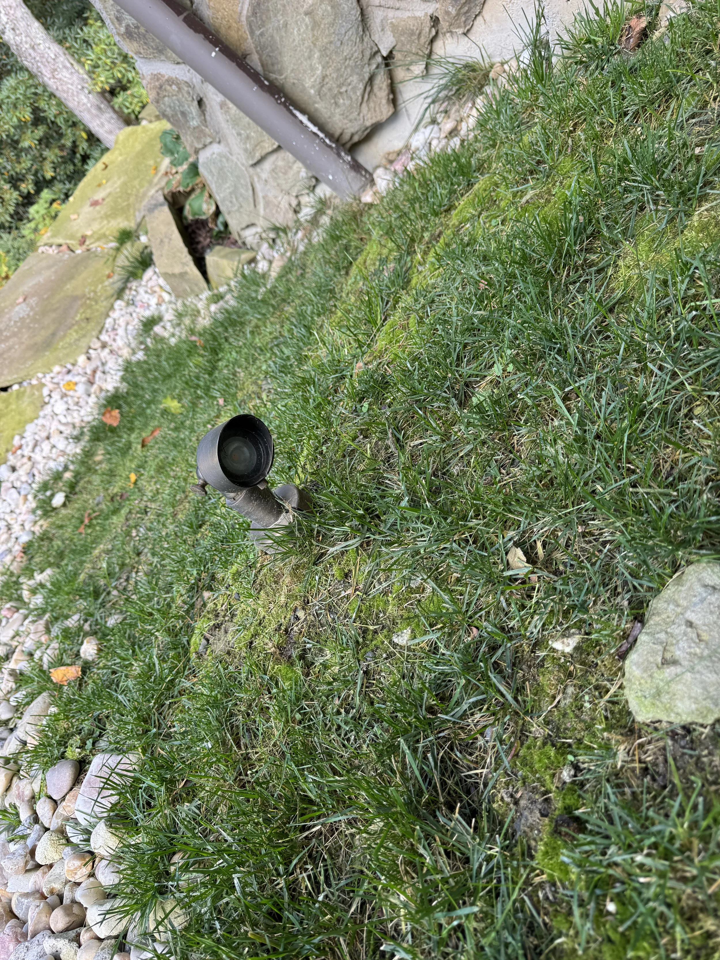 A garden area with green grass, moss, rocks, and a metal sprinkler head. There is a stone border along the edge of the grass.