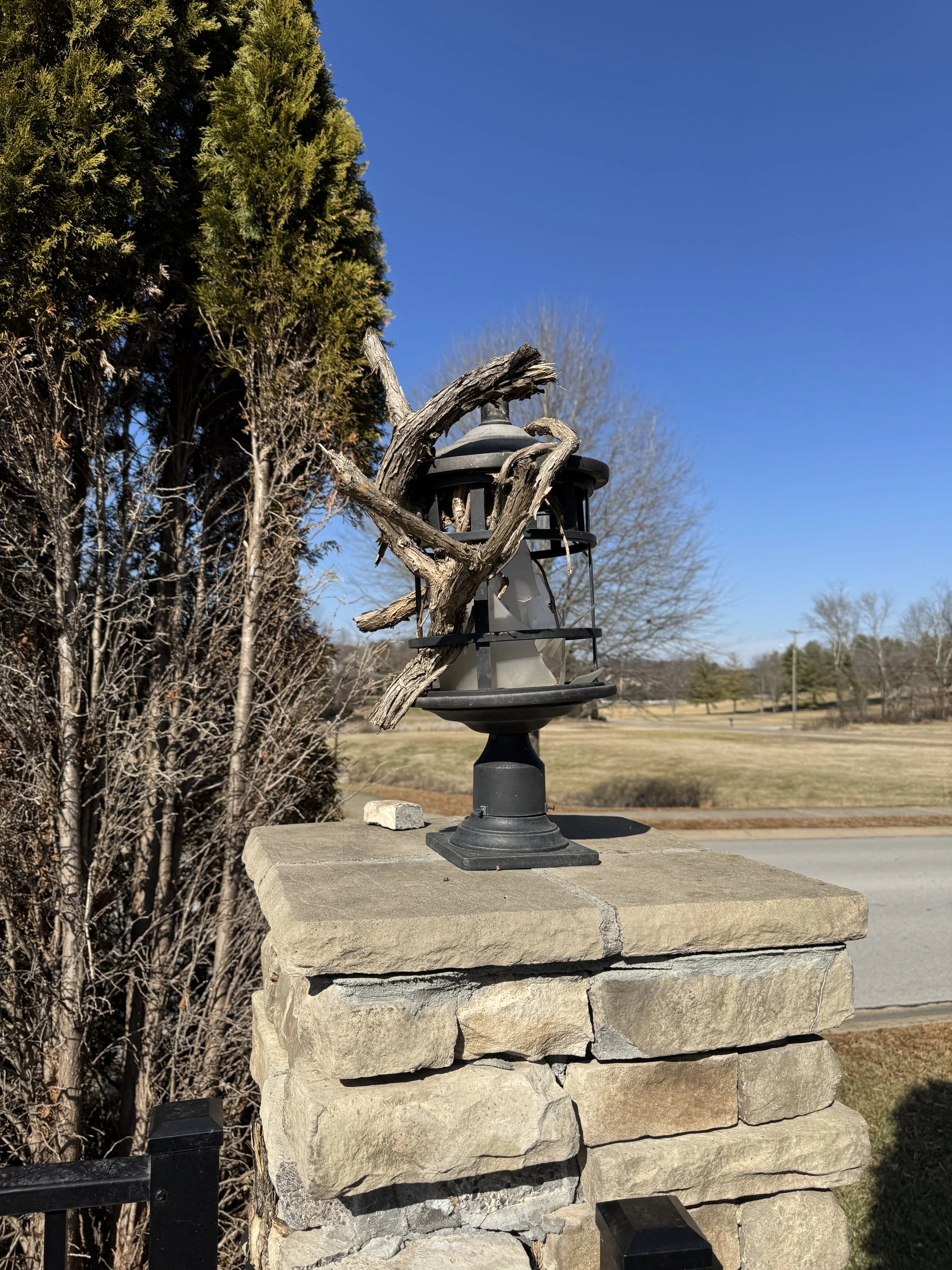 A black outdoor lantern with a wooden branch entwined around it, mounted on a stone pillar with a natural landscape background.