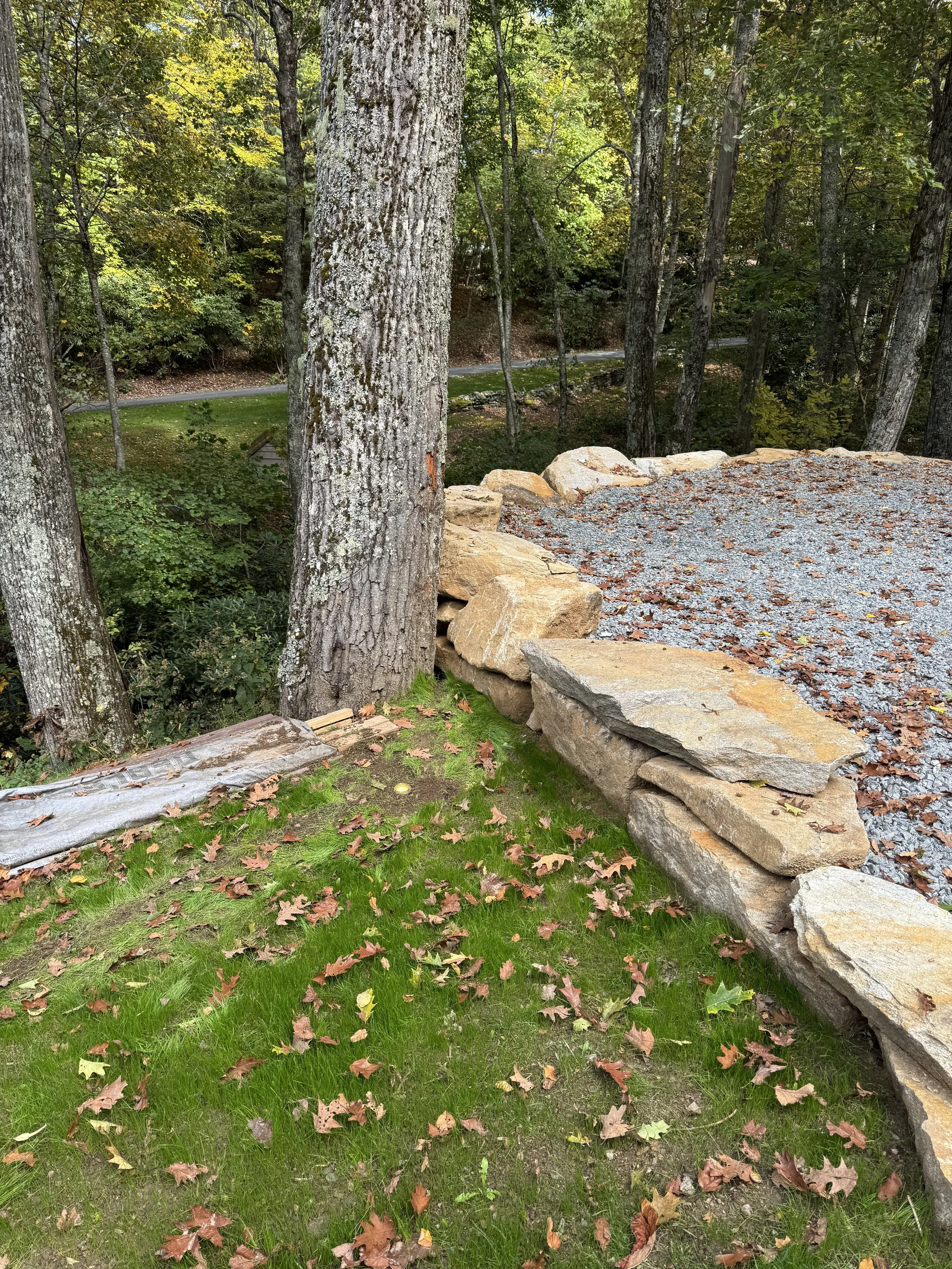 A forest scene with tall trees, green foliage, fallen leaves on the grass, a stone-lined edge, and a gravel area.