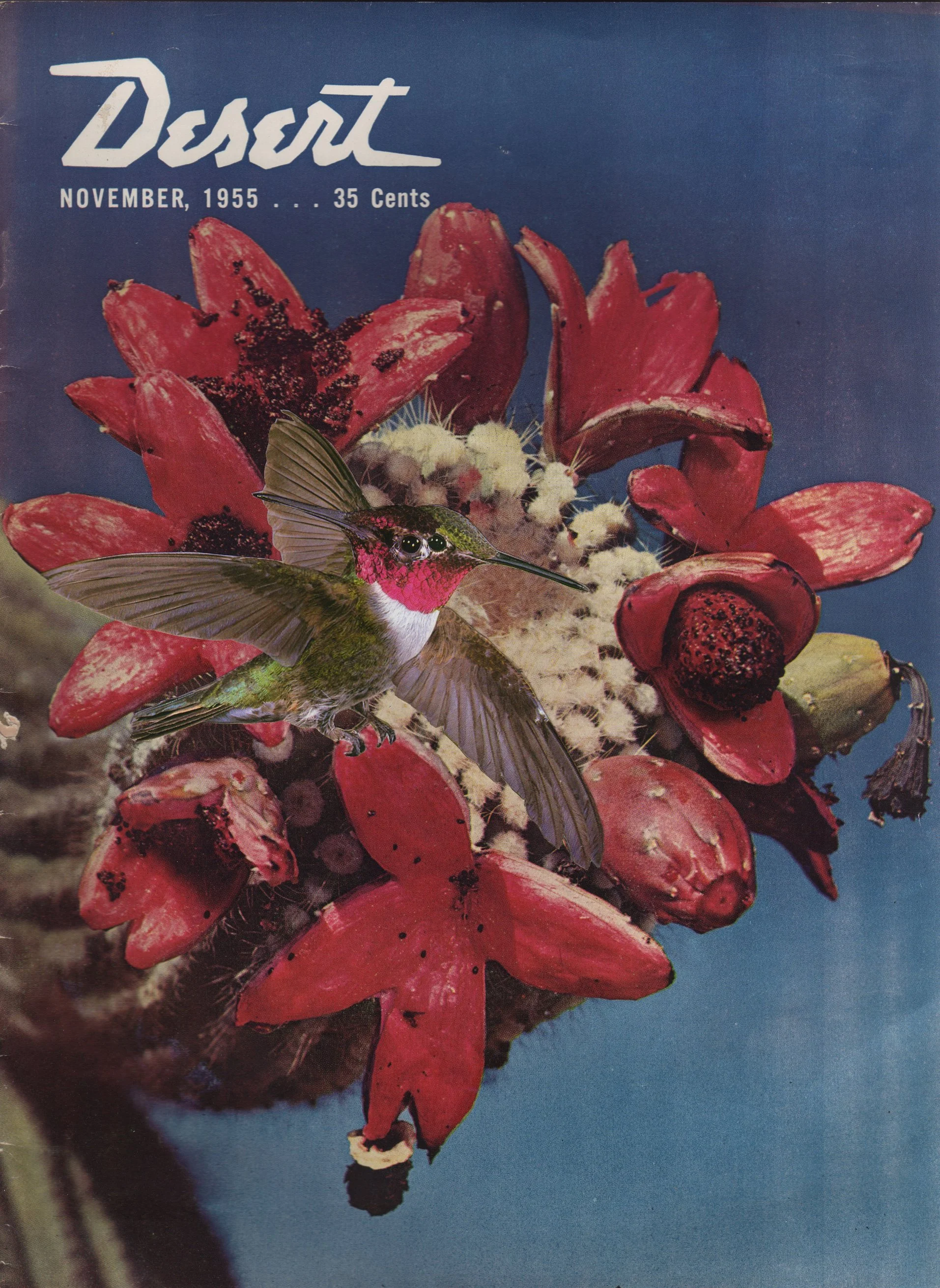 Desert Bird_1 copy.jpg