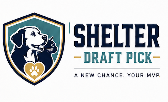 Shelter Draft Pick 