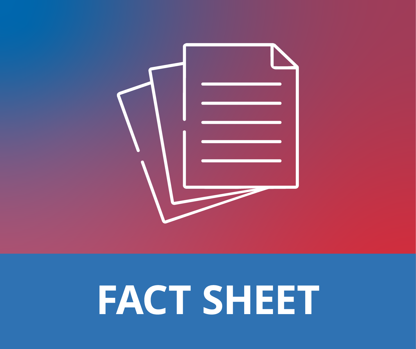 fact sheet icon