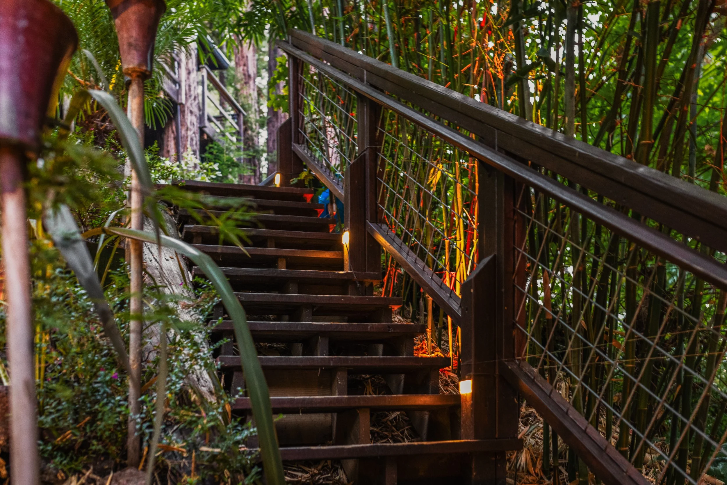 Wooden staircase leading up through dense green tropical foliage with small lights along the edges illuminating the steps.