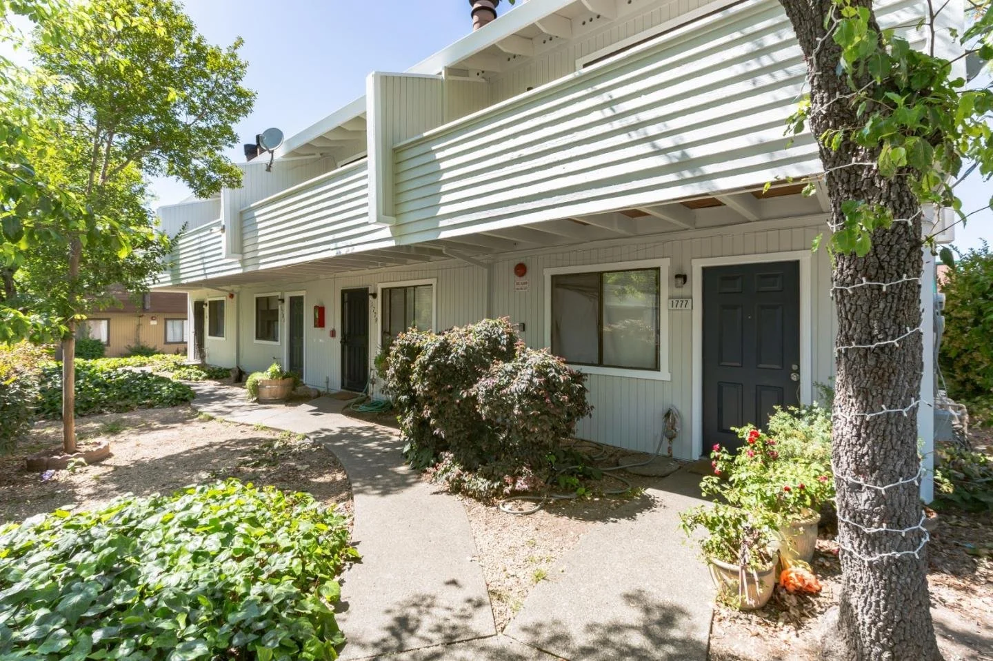 Exterior of a multi-unit apartment complex with a paved walkway, plants, and bushes, black door, white siding, and a tree decorated with string lights.