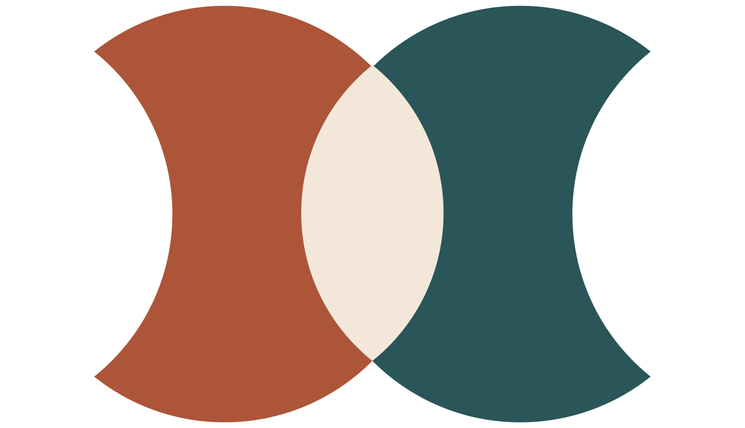 Colorful diagram with overlapping shapes in orange, white, and teal, creating a Venn diagram-like pattern.