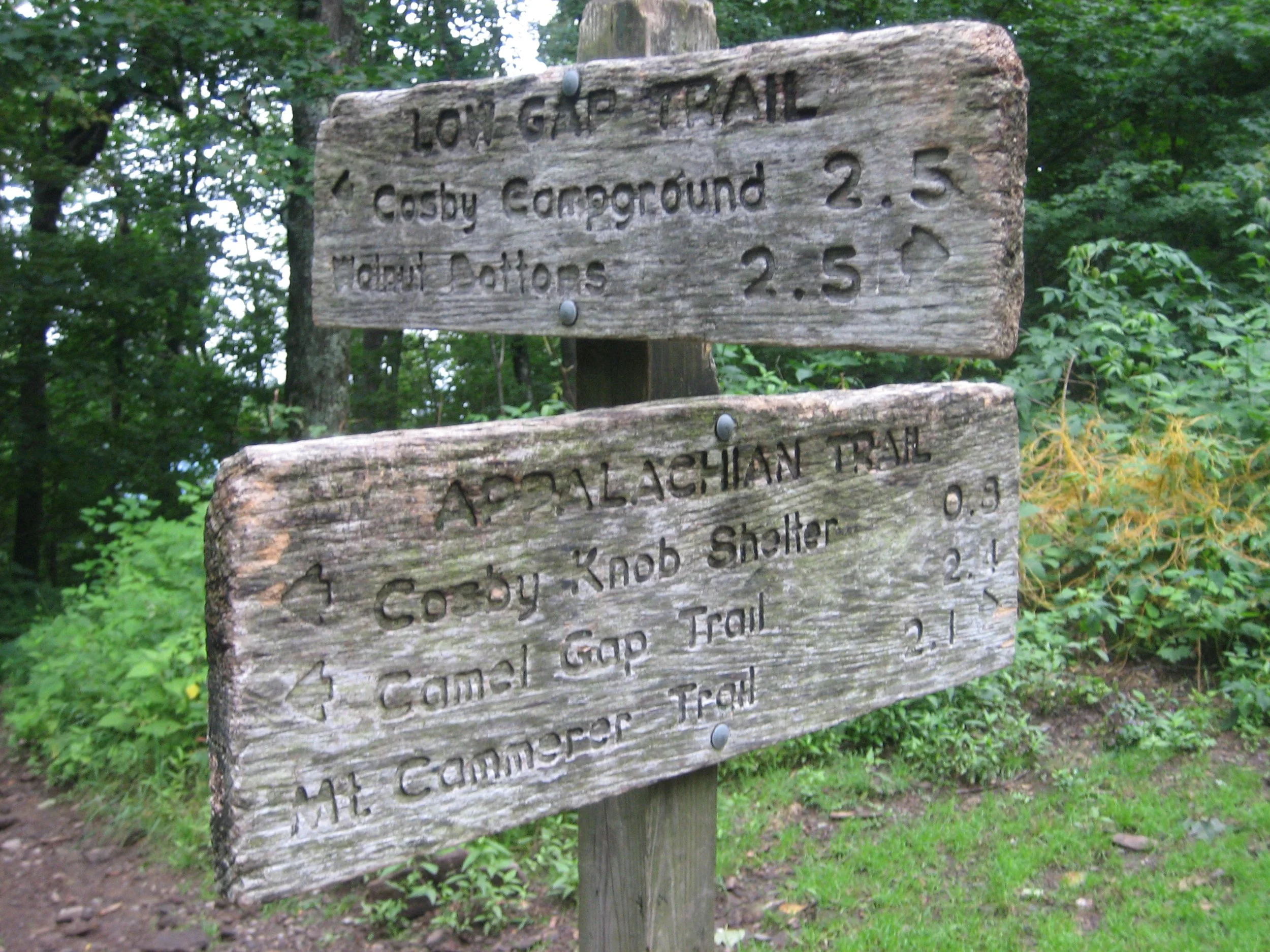 Wooden Great Smoky Mountains National Park trail sign with carved text, surrounded by green forest foliage. The sign has directional information for a trail, indicating distances to Cosby Campground, Little Row, the Appalachian Trail, and others.