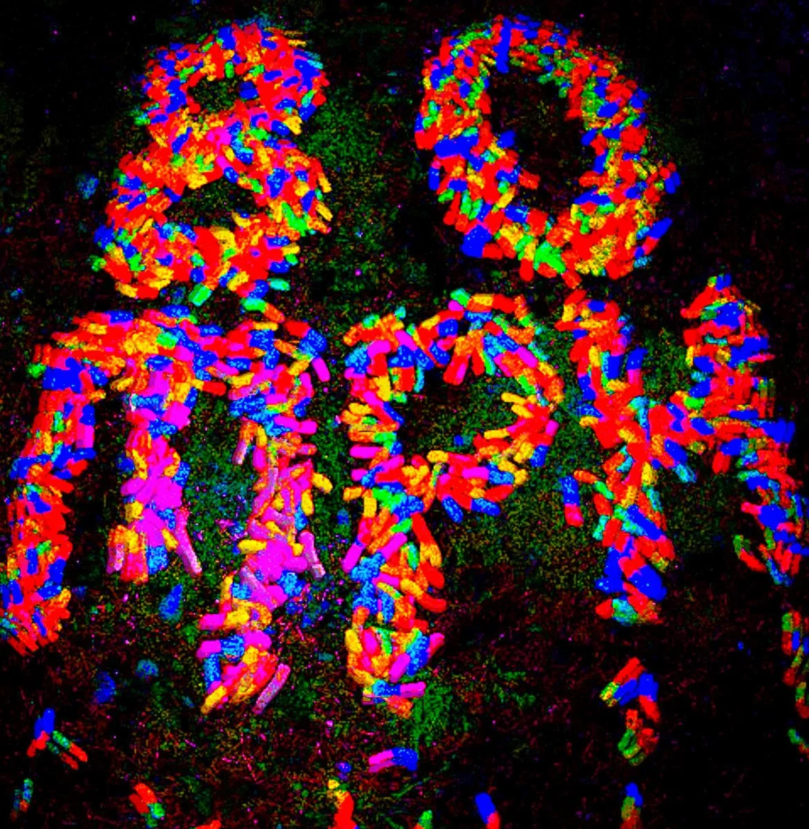 Colorful digital abstract art with various shapes and patches of red, blue, green, yellow, and pink on a black background.