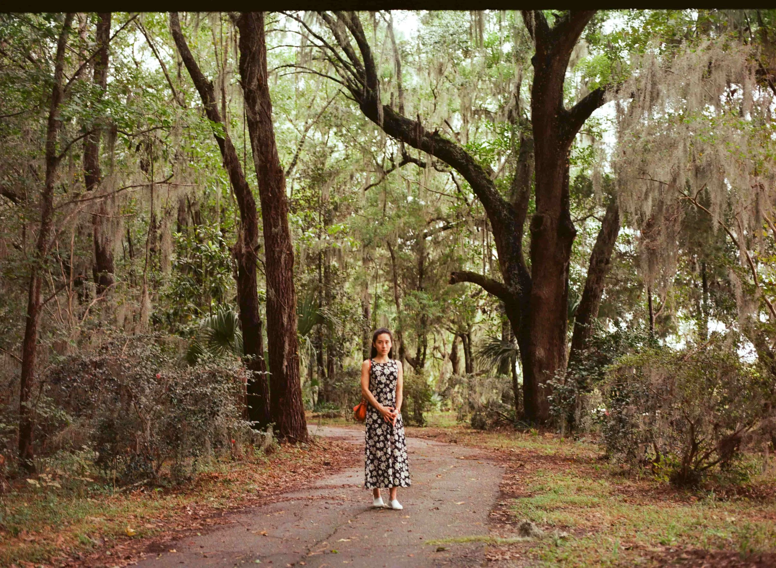 Charleston, South Carolina.  Shot on Pentax 645