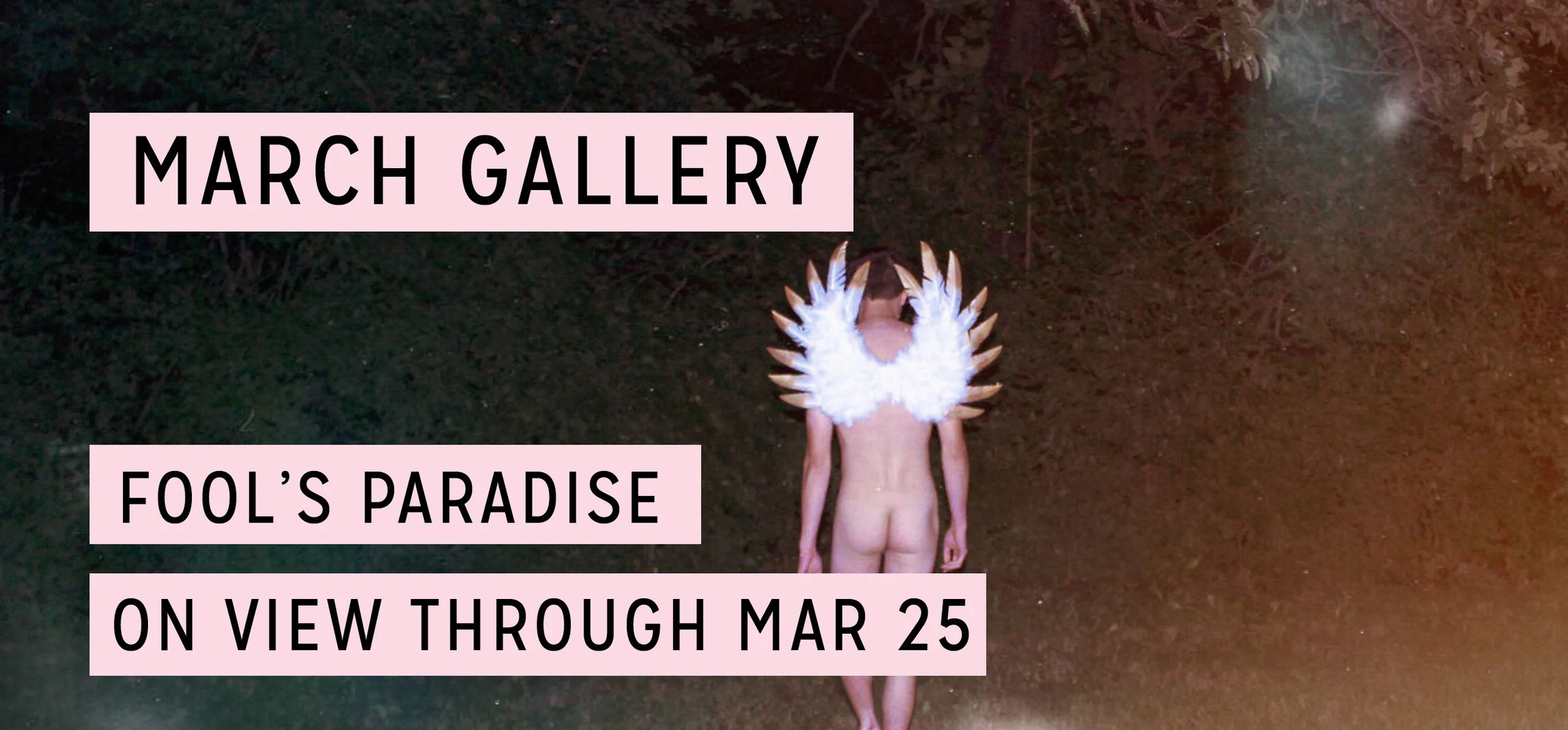 WGC_Gallery_March2019_website.jpg