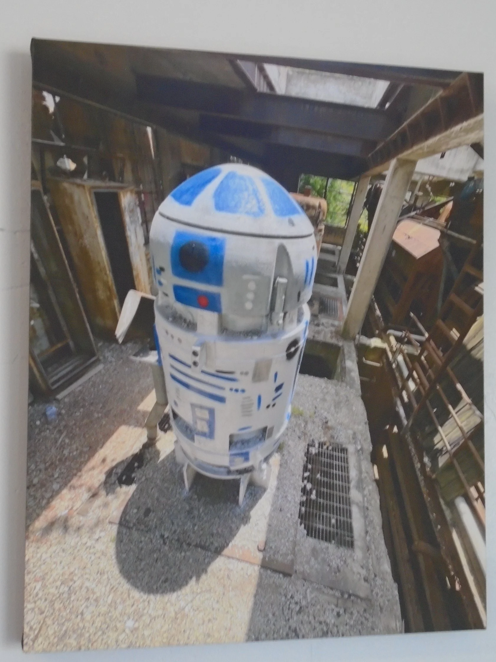 DSC00095.png