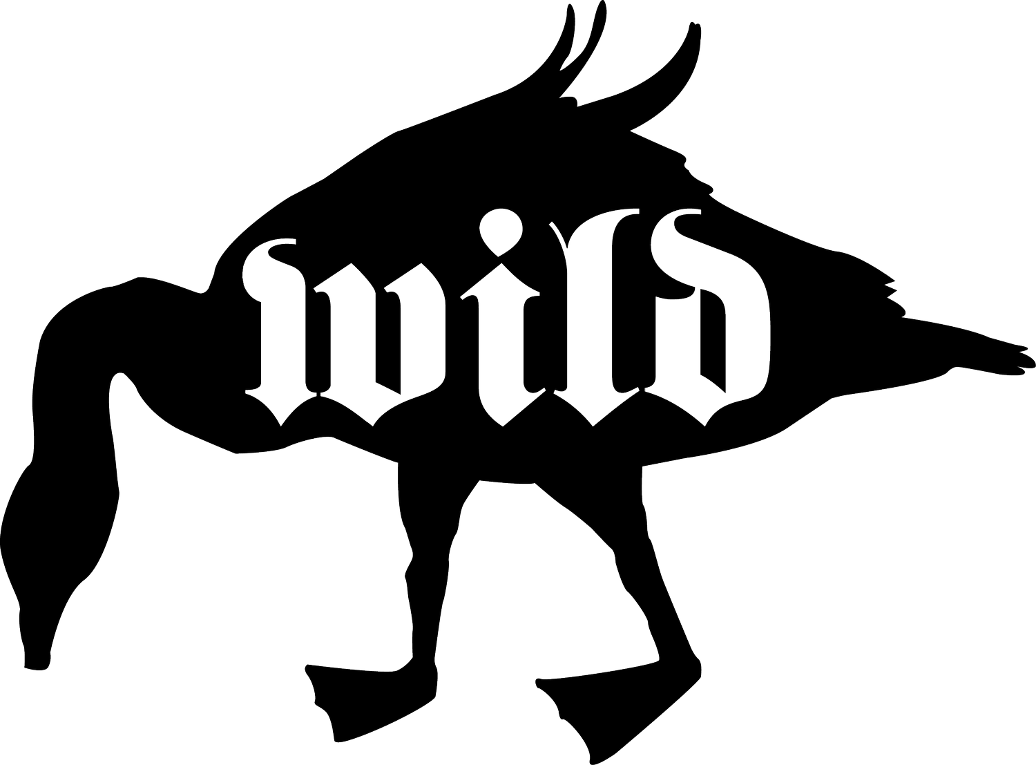 Wild Goose Creative (Copy)