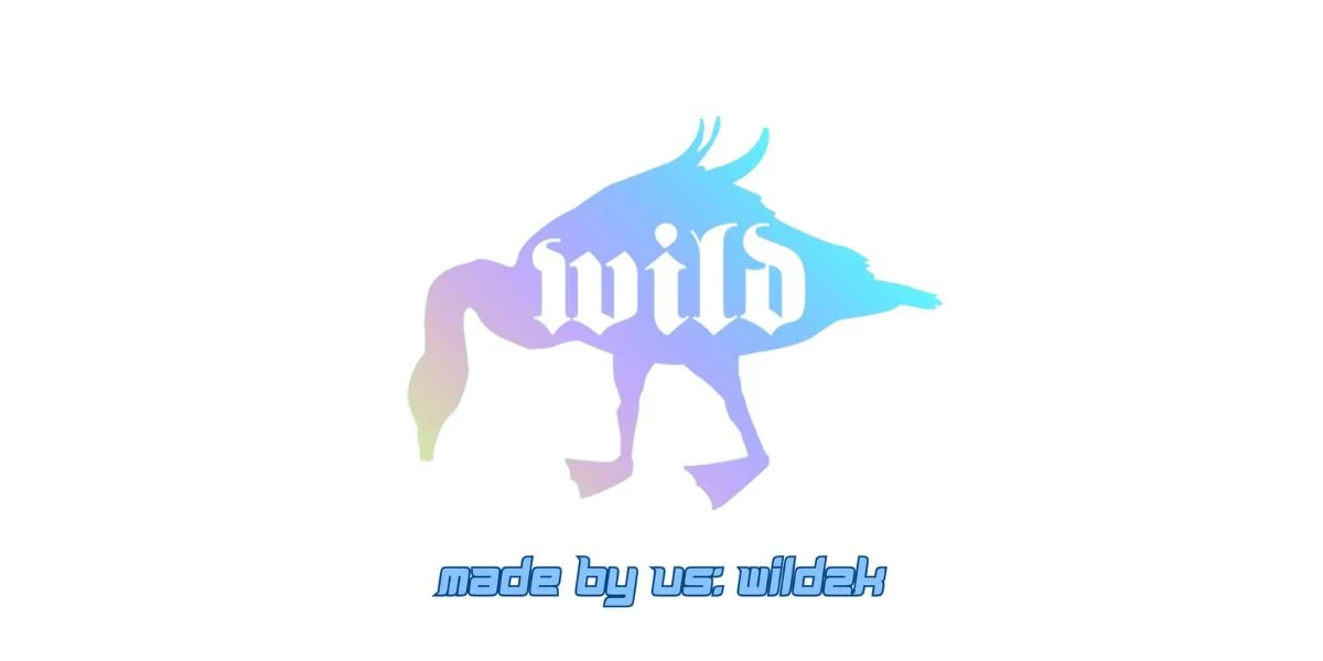 Made By Us: Wild2K