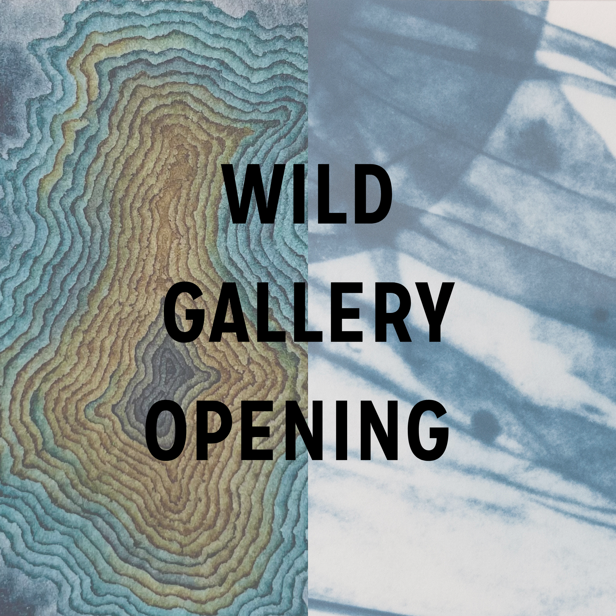 Wild Gallery: “Tears, Saliva, Sweat” and “Natural Whorld”