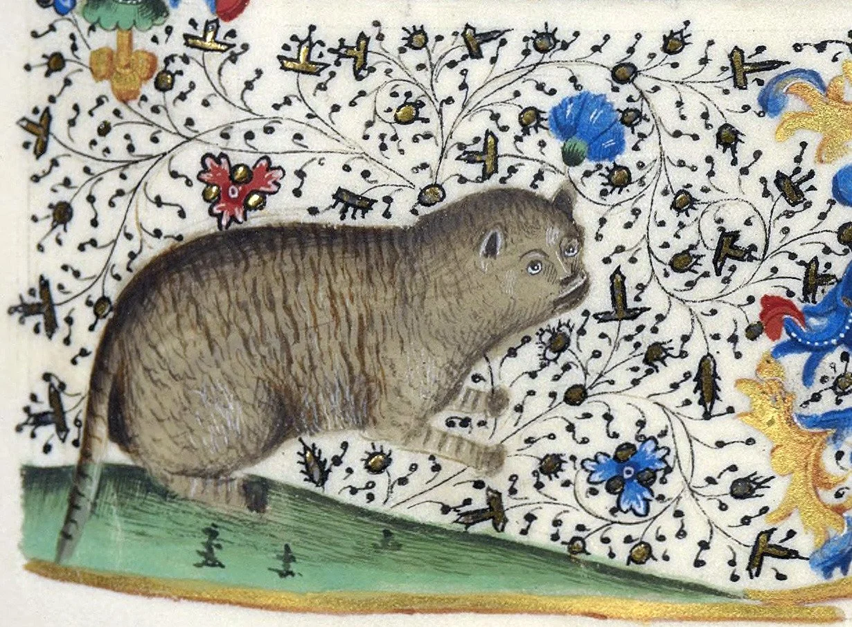 CATS Pop-Up EXHIBITION