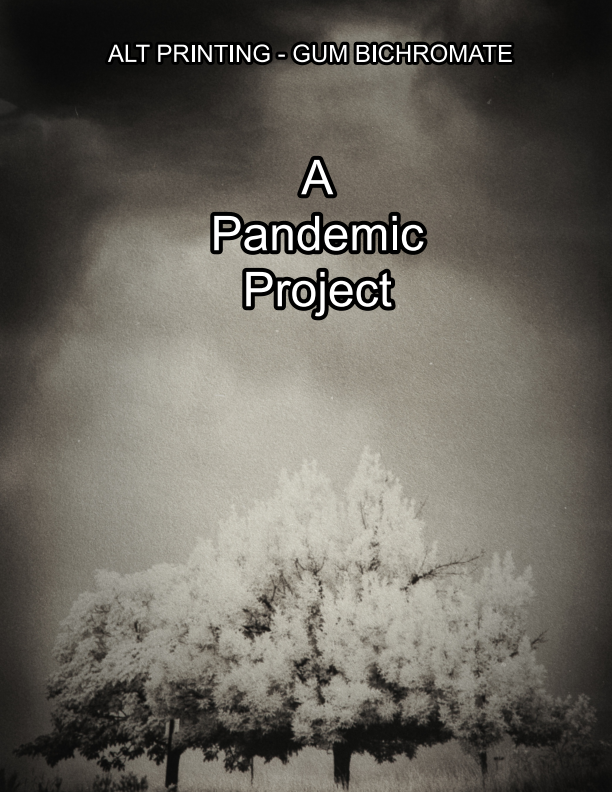 ALT Printing: Gum Bichromate.  A Pandemic Project