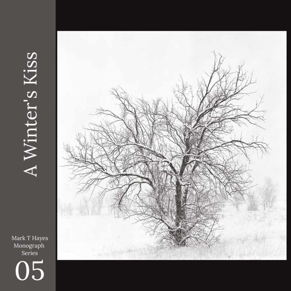 A Winter's Kiss: A photographic study