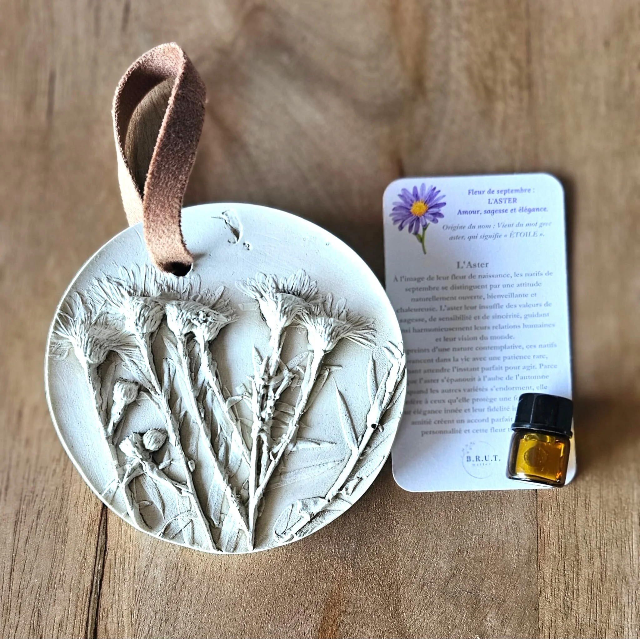 September Aster : Birth-Month Botanical Miniature