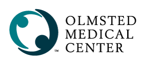Stylized globe icon with circular design