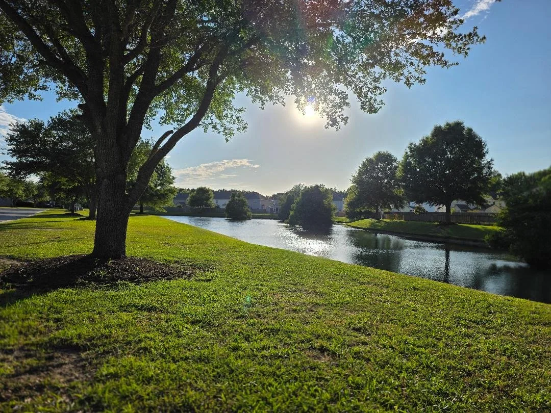 A scenic park scene with a large tree in the foreground, a calm water canal, and other trees on the opposite bank, with the sun shining in a partly cloudy sky.