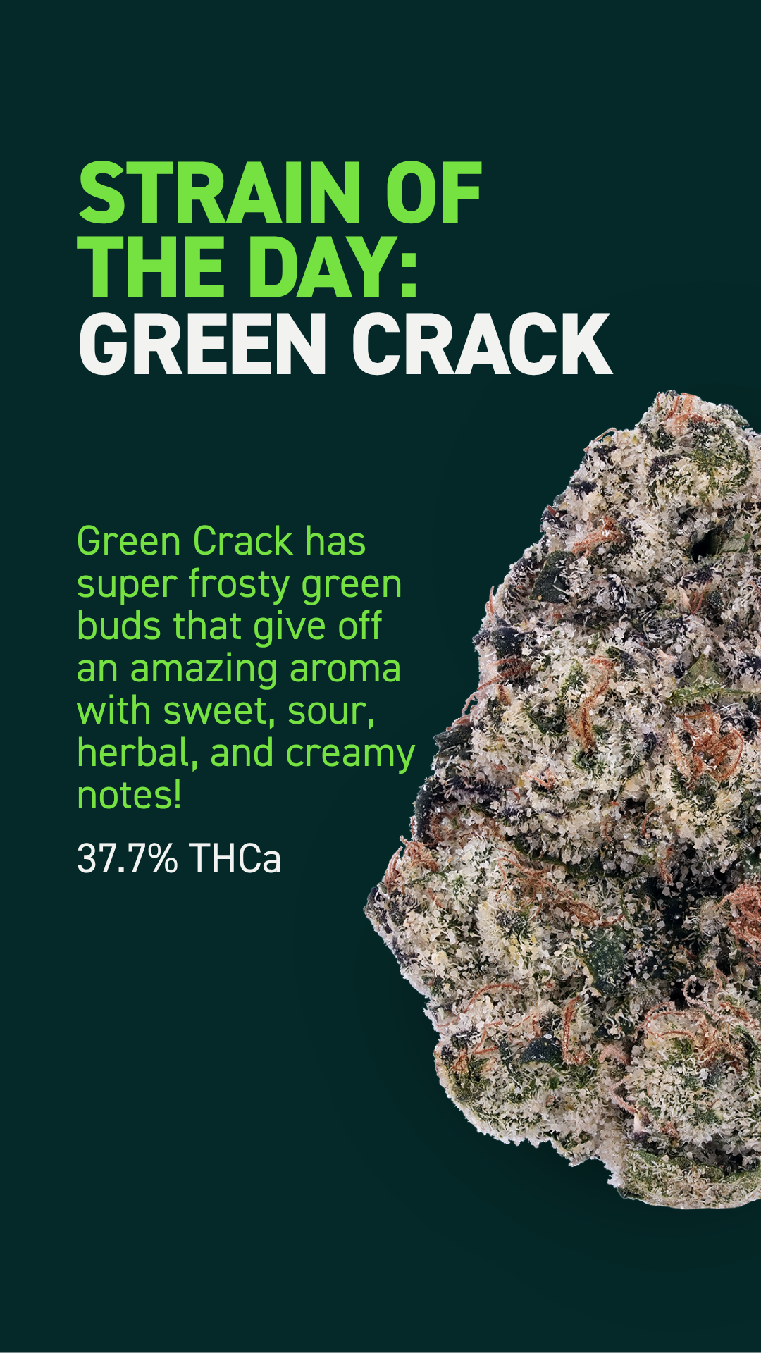 Green Crack.png