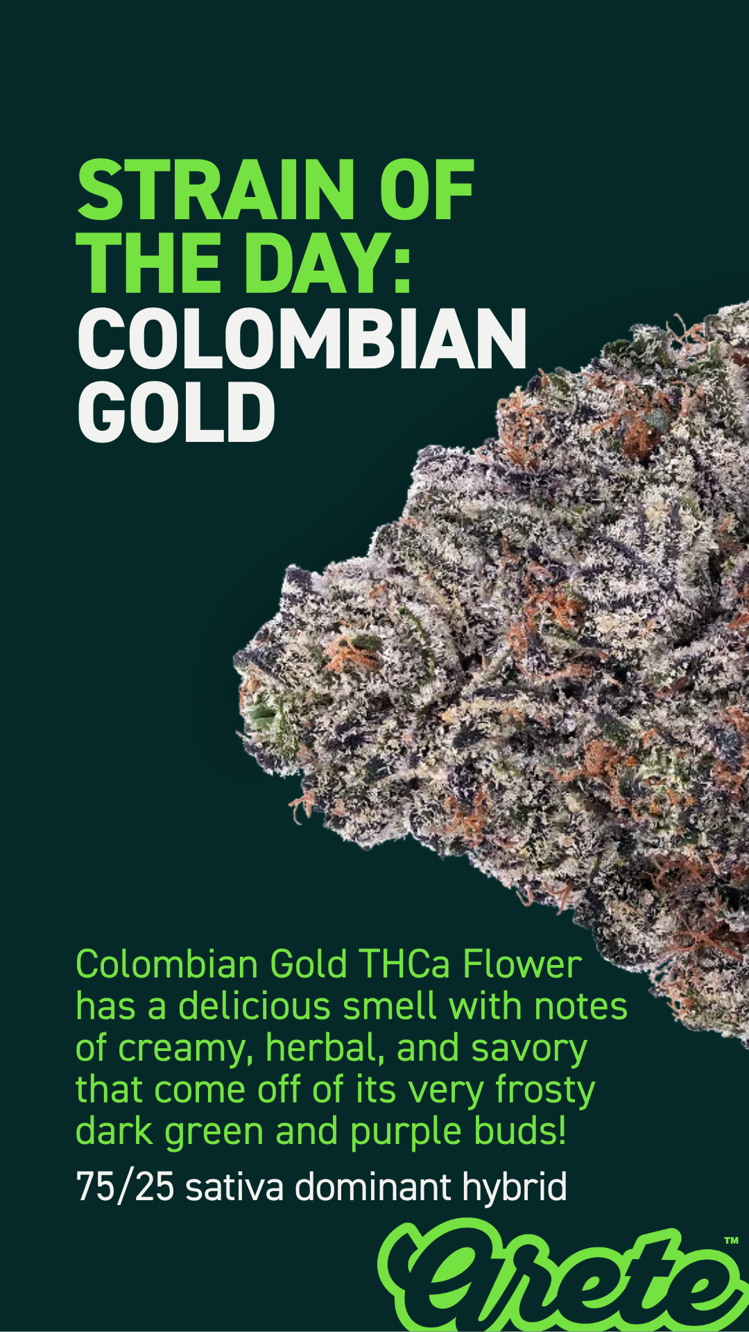 Colombian Gold.png
