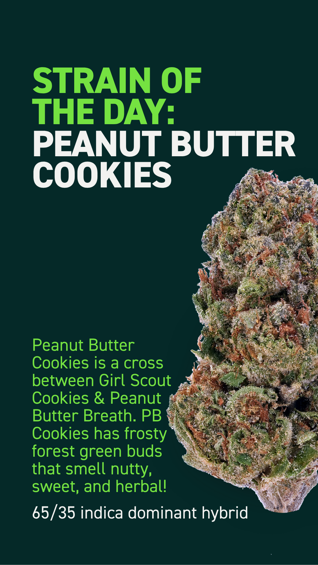 PB Cookies.png