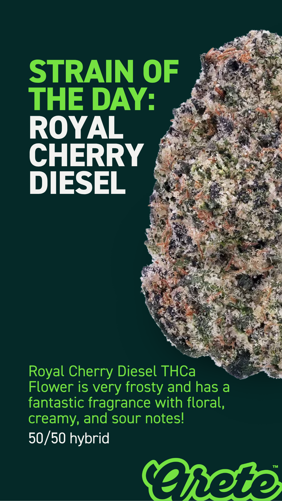 Royal Cherry Diesel.png