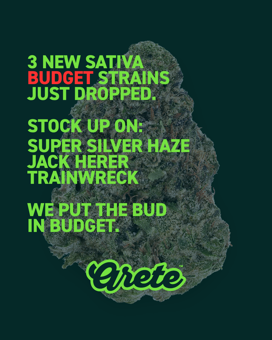3 NEW BUDGET STRAINS.png