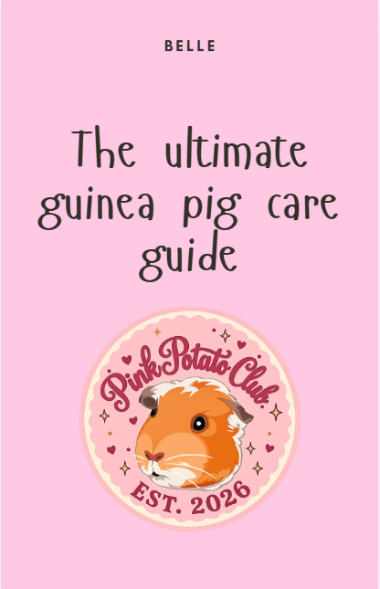 Ultimate guinea pig care guide
