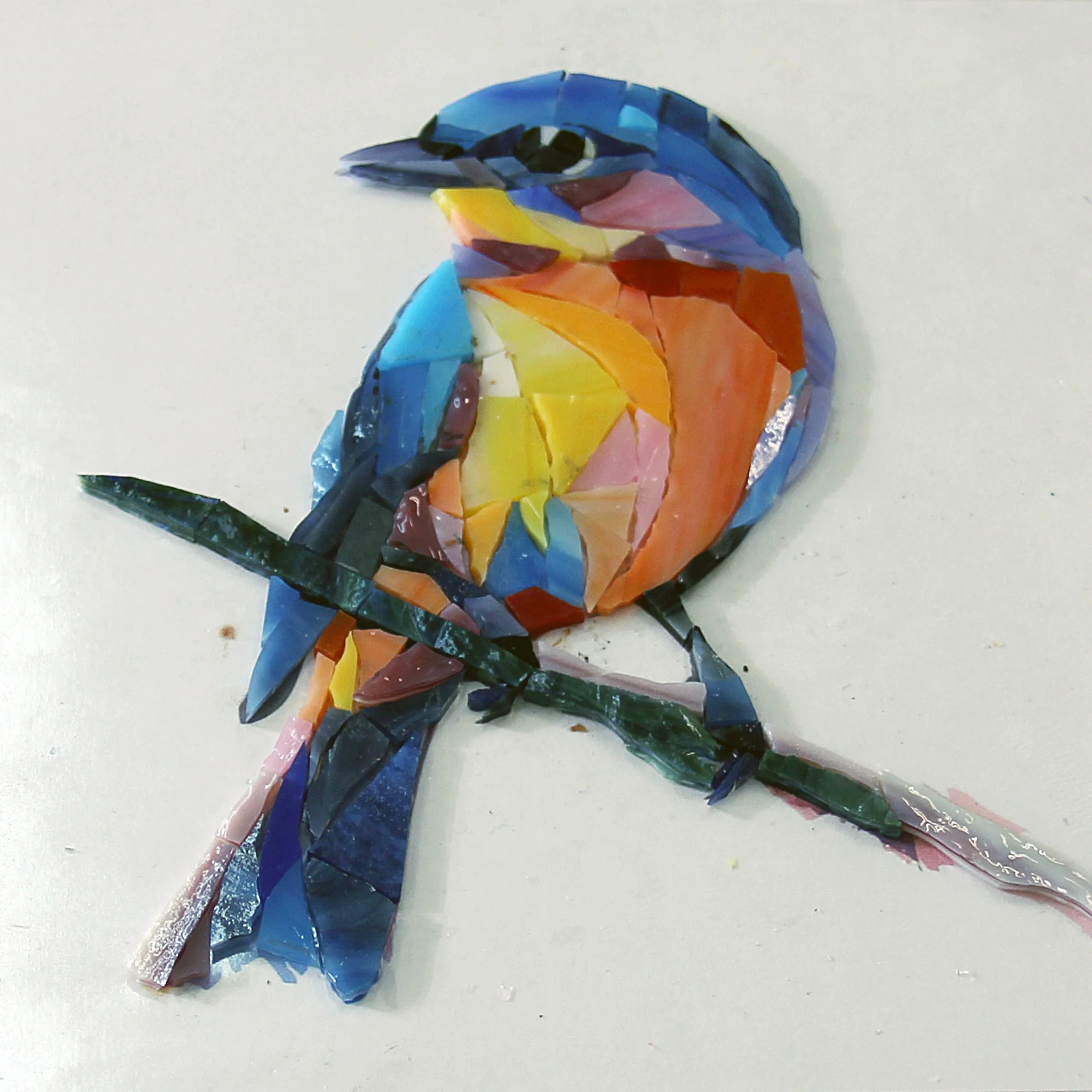 Bird.jpg