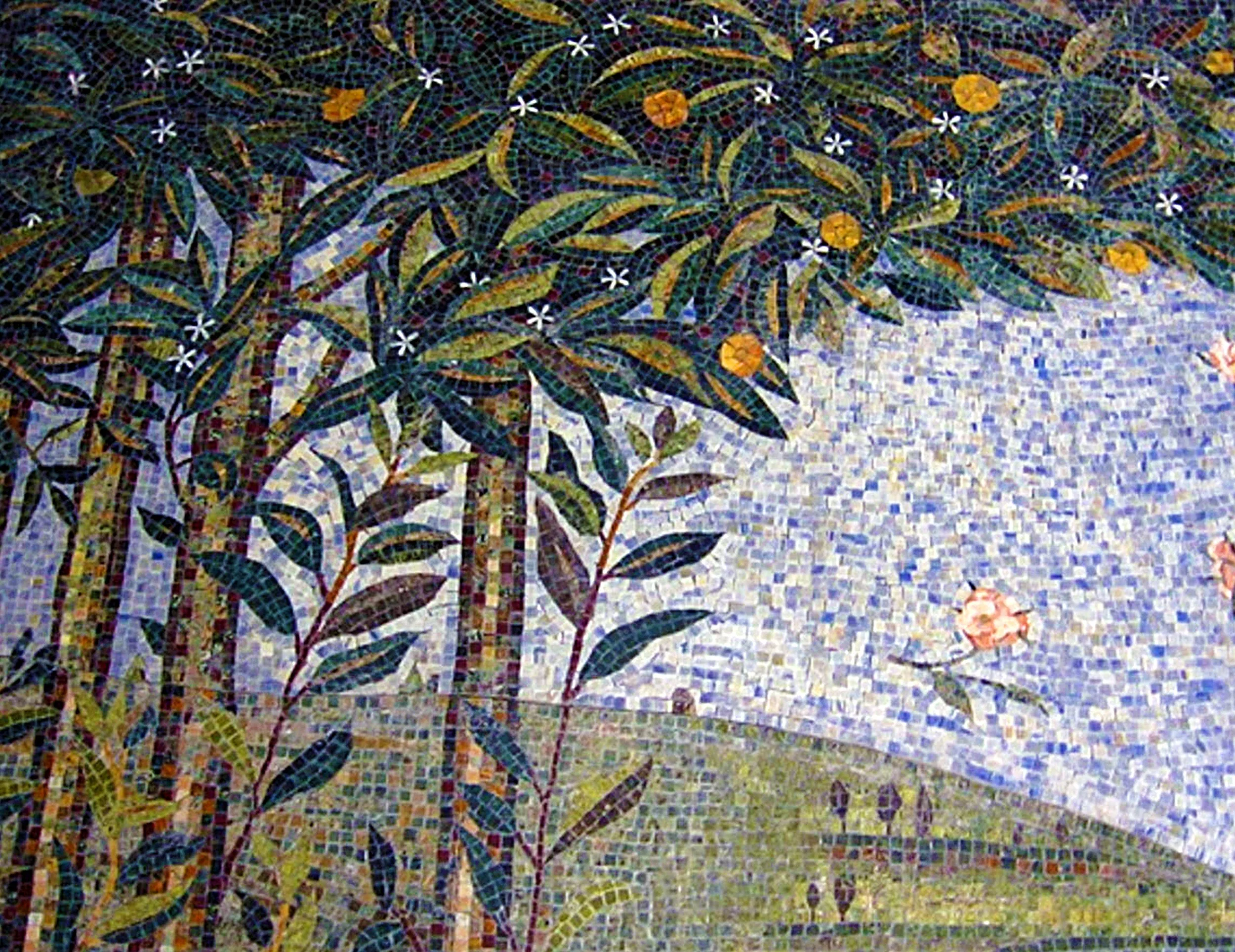 Plants 01.jpg