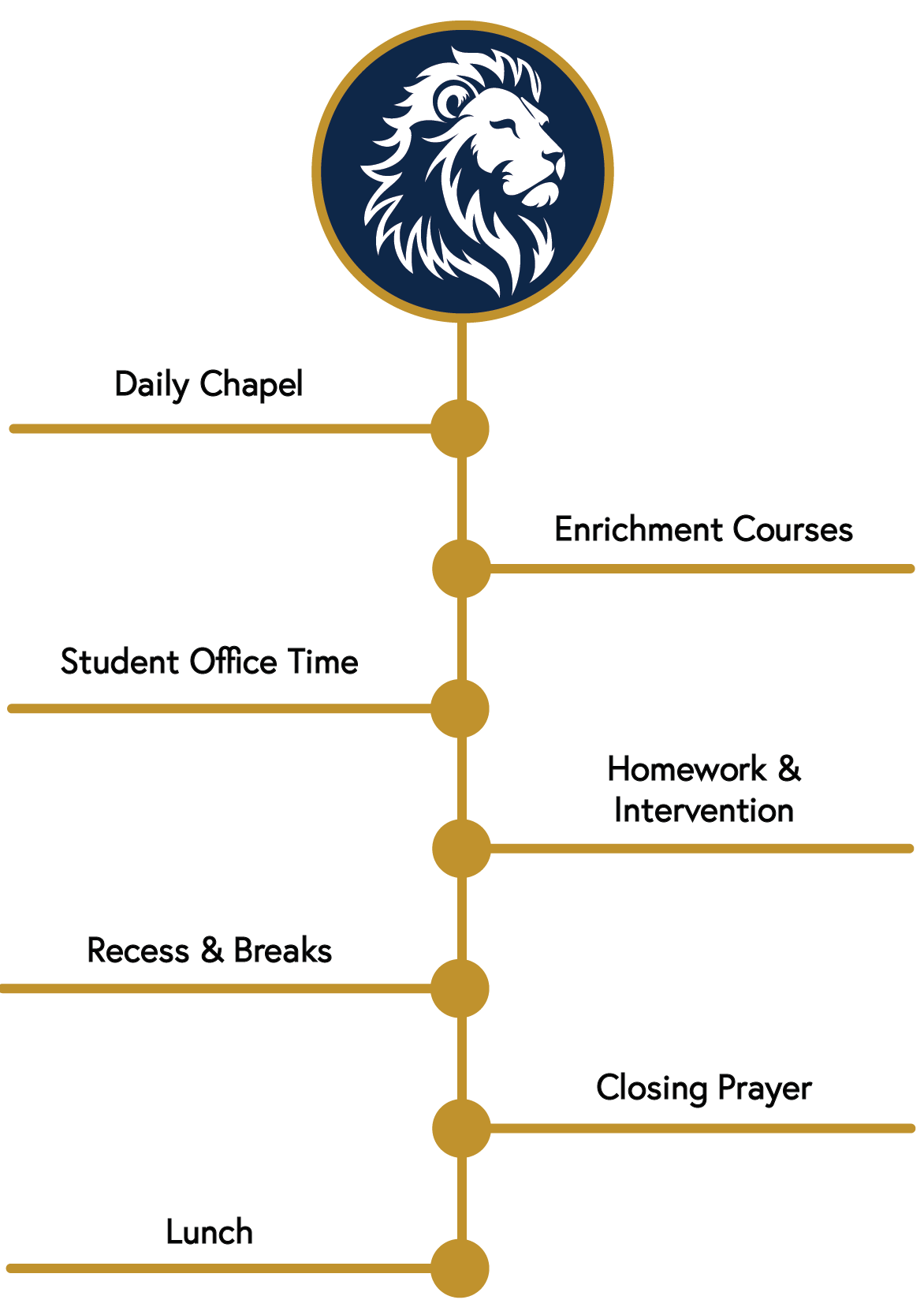 Flowchart showing a schedule with a lion logo at the top, followed by  six labeled segments: Daily Chapel, Enrichment Courses, Student Office Time, Homework & Intervention, Recess & Breaks, Closing Prayer, and Lunch.