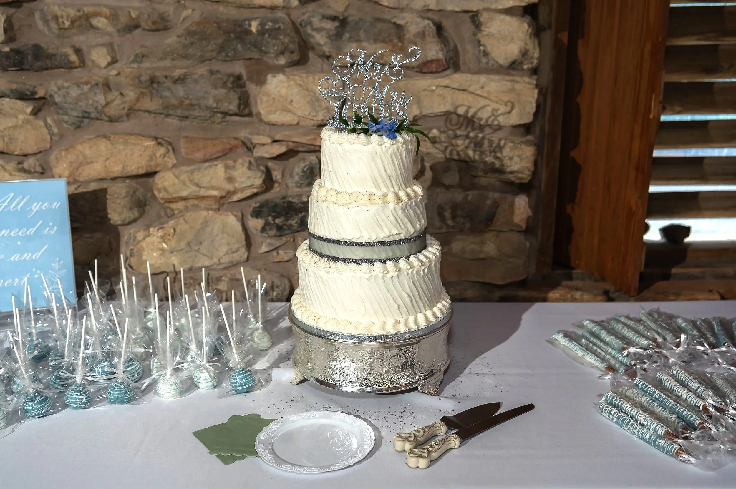 09-15-24+Nicole+Brown+Kyle+Jones+Wedding+Wind+in+the+Willows+Grantville-659.jpg