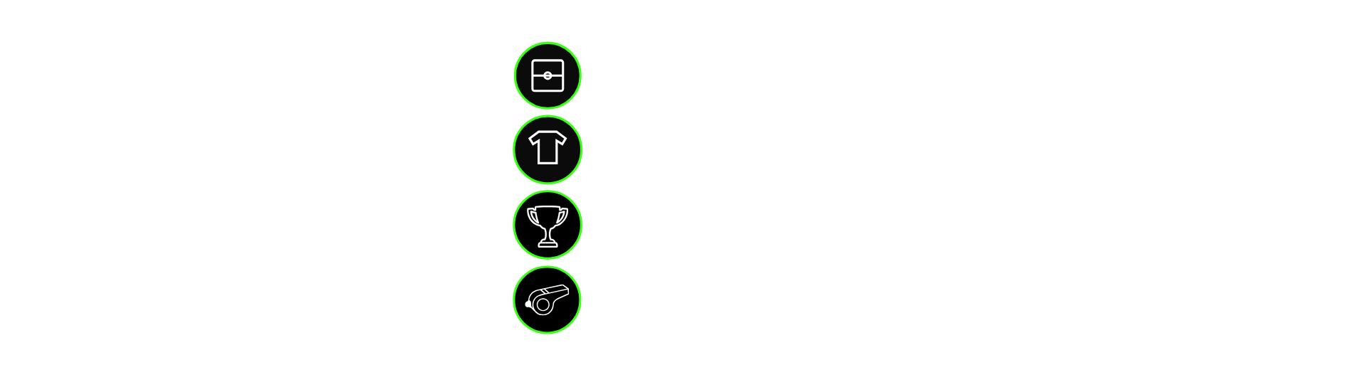 Information about a sports league or team, listing games on turf fields, team jersey, season and championship, and referees, with icons for each item.