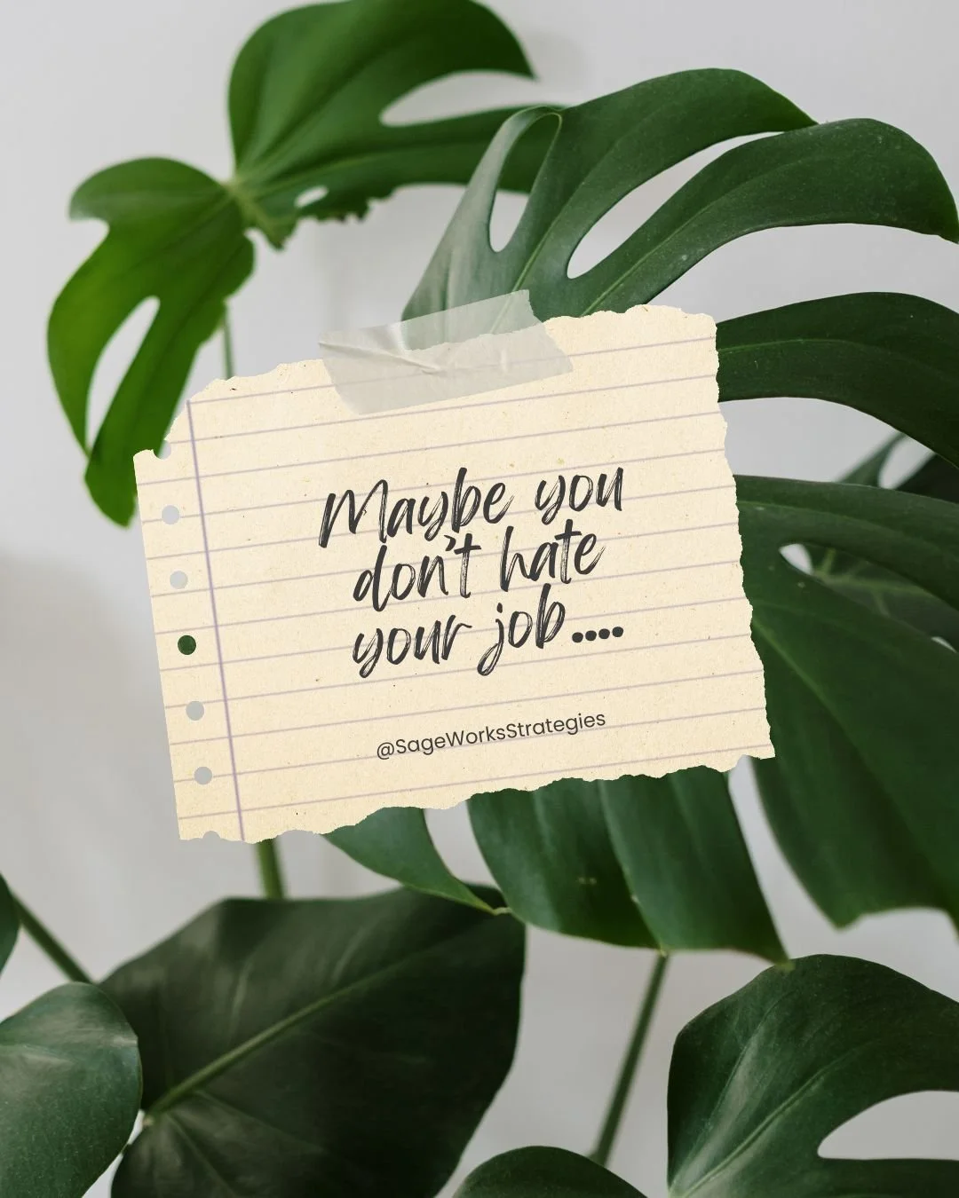 Maybe you don’t hate your job…