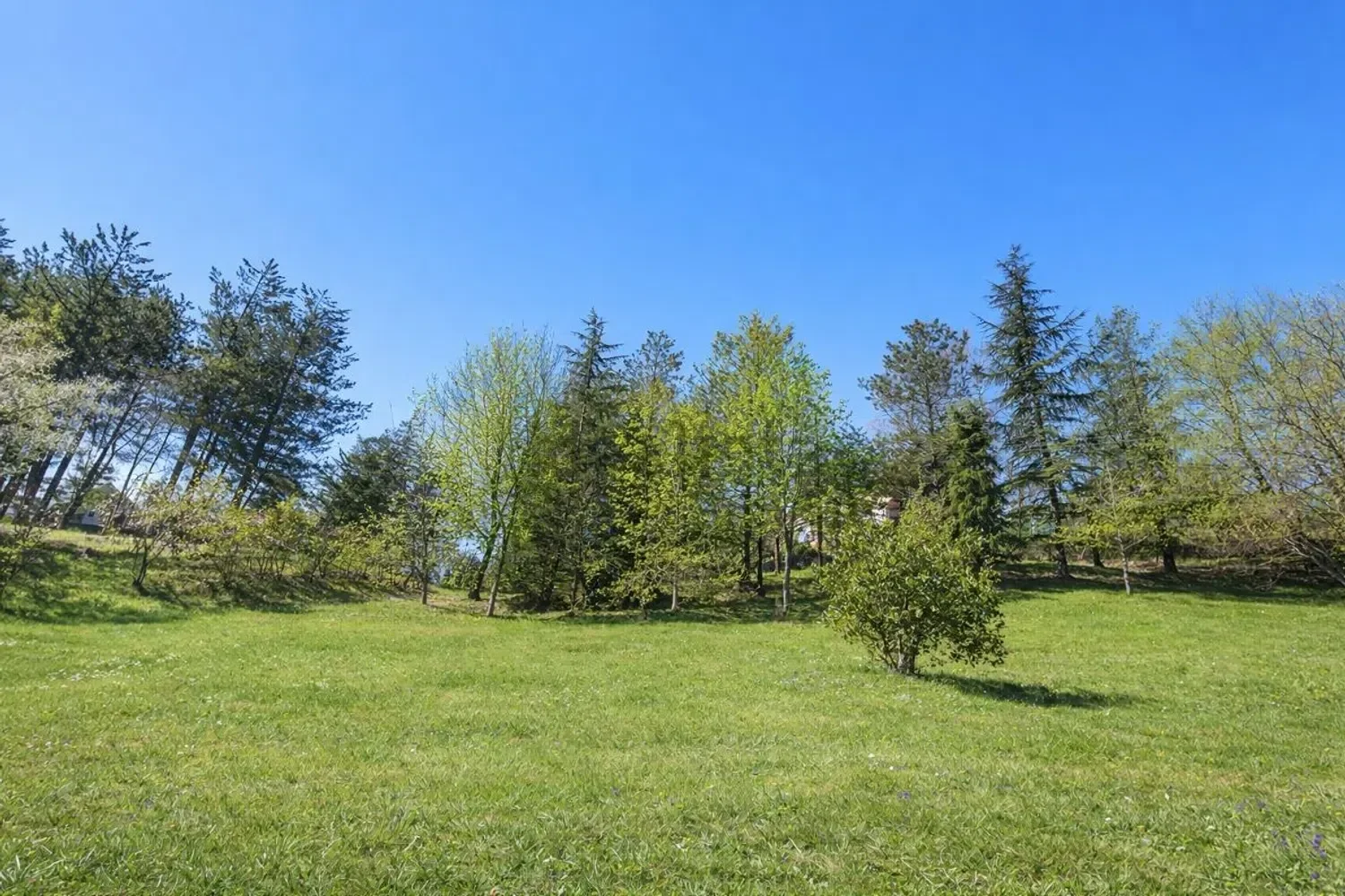 799765317.webp