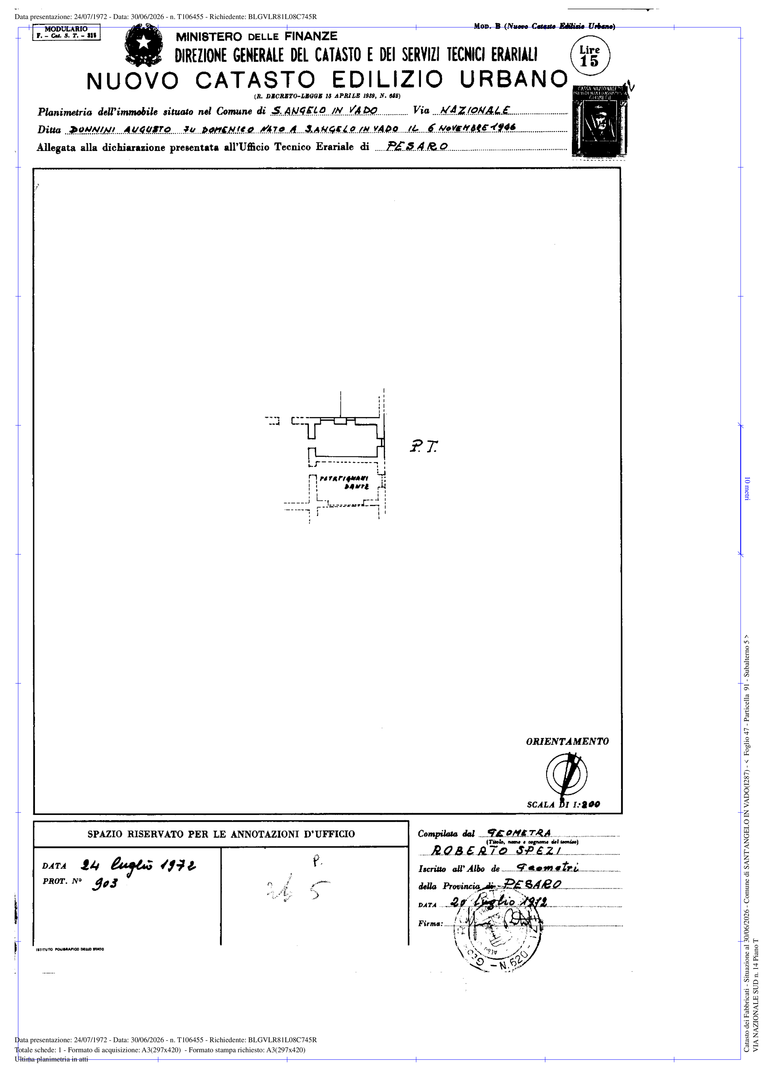 PLN_243534872_2.png