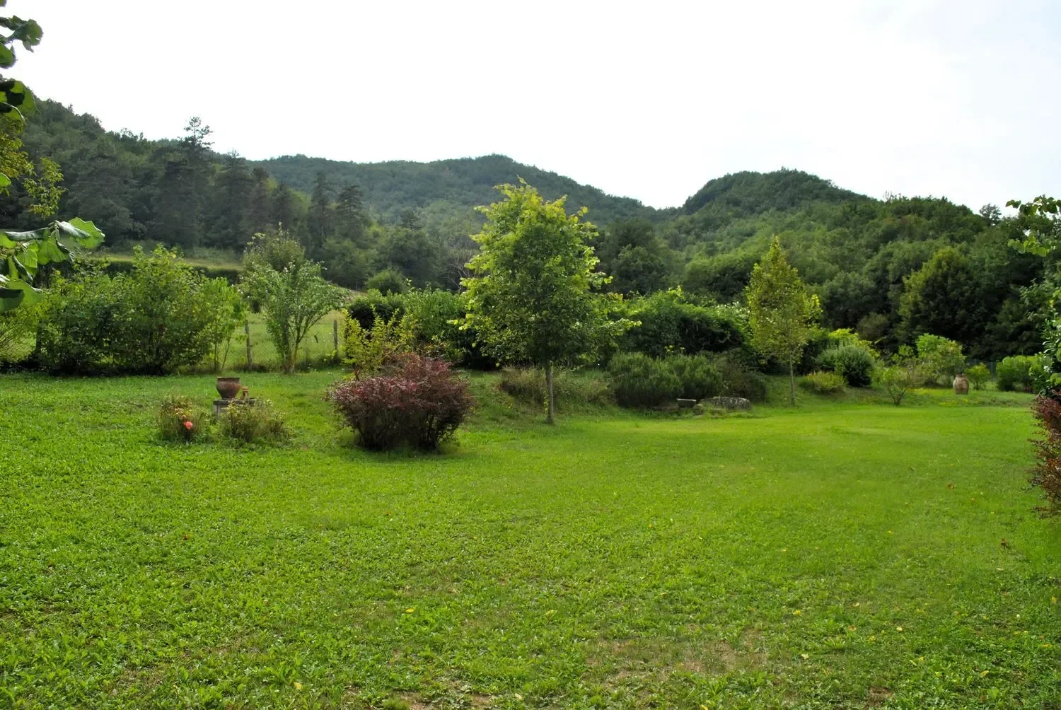 720579440.webp