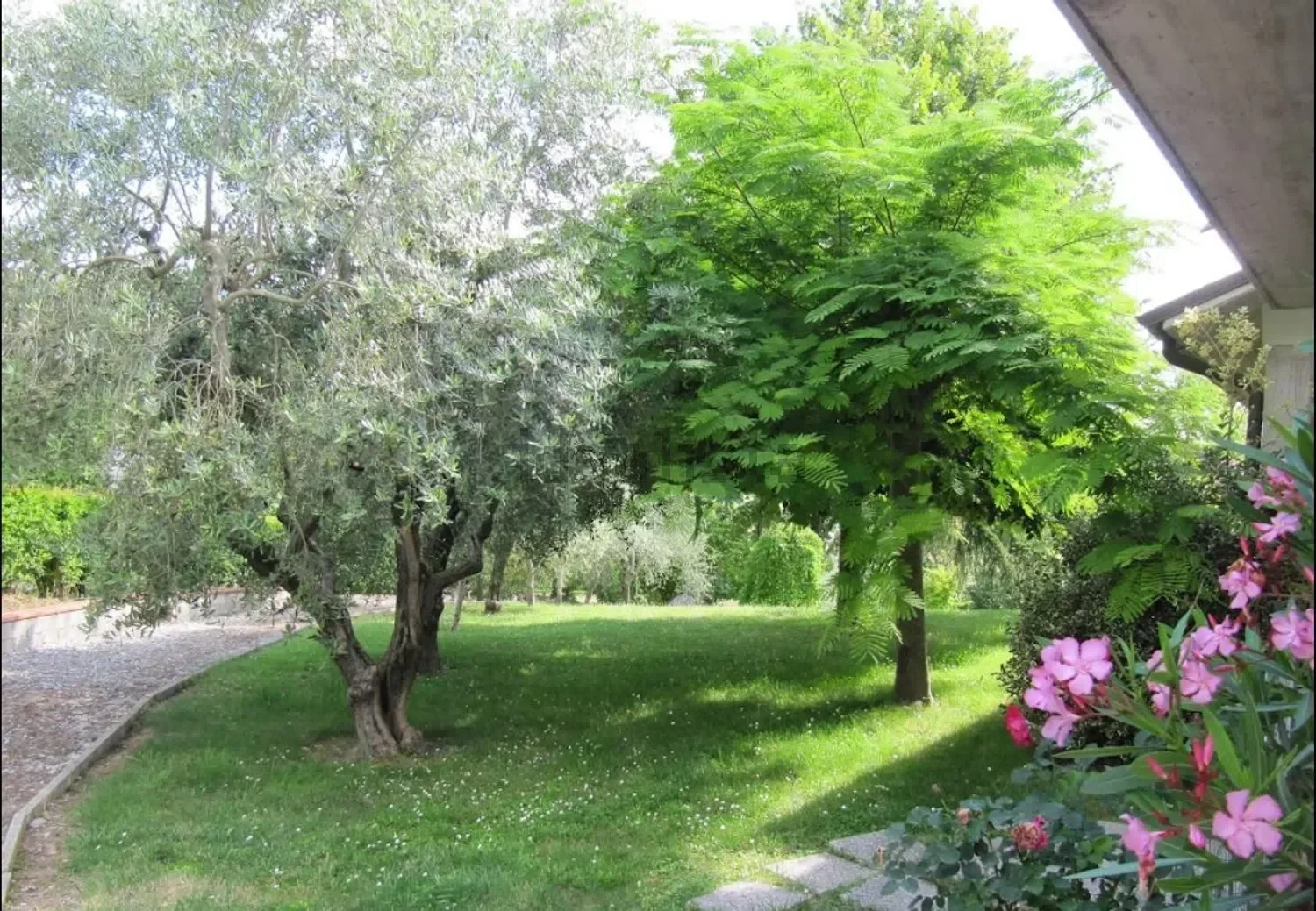 411421081.webp