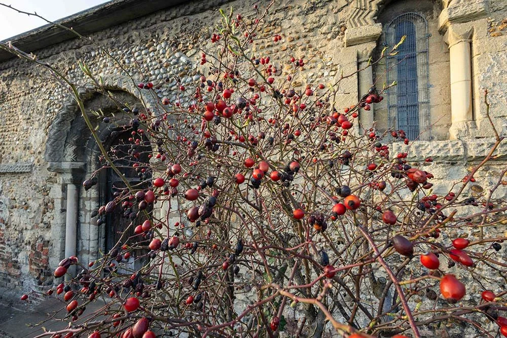 Outside the Leper Chapel