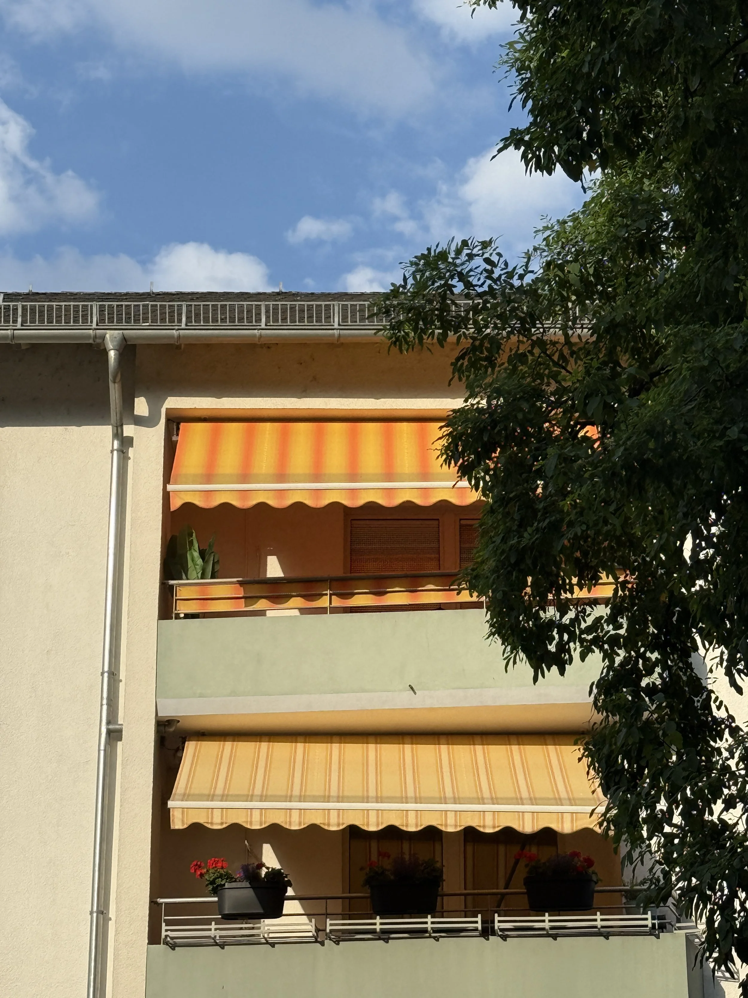 IMG_3785.jpeg