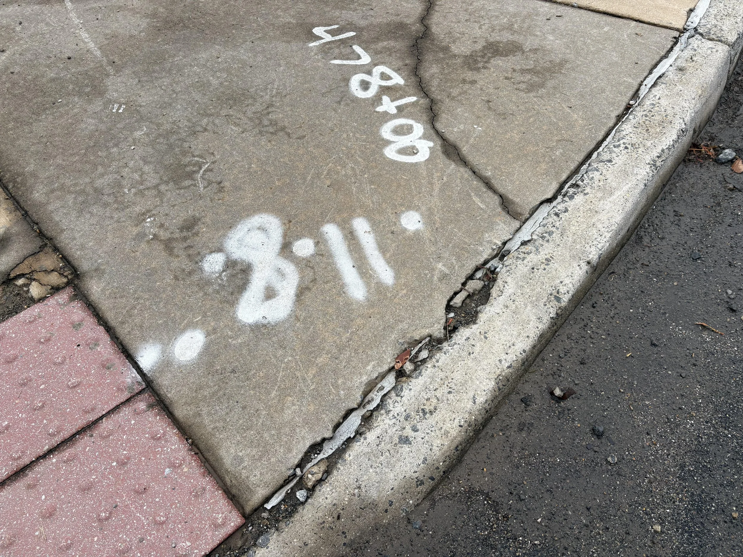 IMG_2976.jpeg