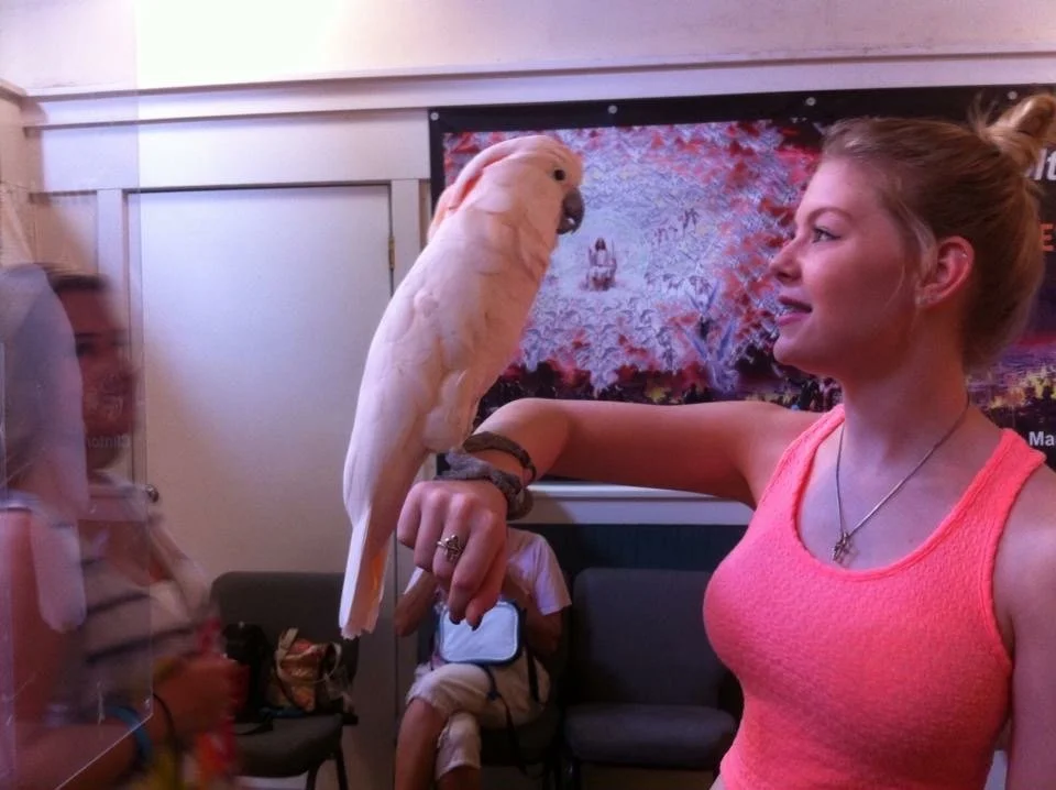 A woman in a pink tank top is holding a large white bird, possibly an cockatoo, on her hand in an indoor setting with people and a colorful wall in the background.