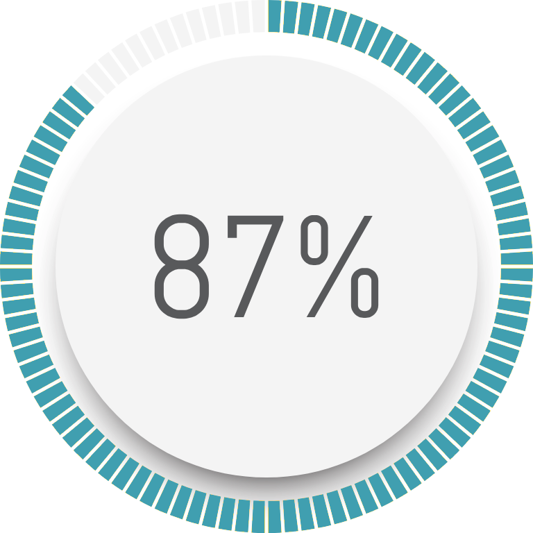 A circular progress indicator showing 87% with a partly yellow and blue segmented border.