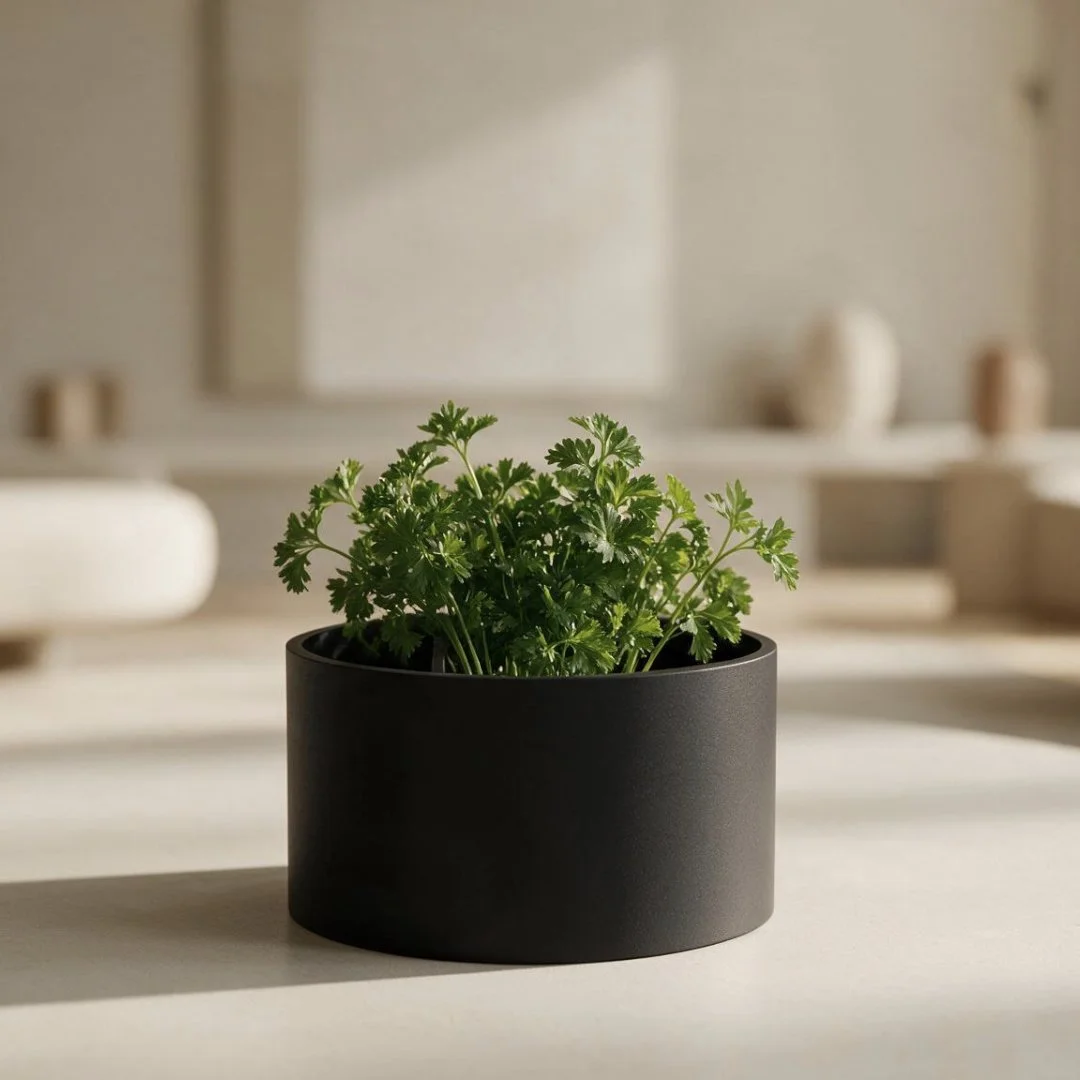 Aquamod P1 Petit pot.jpg
