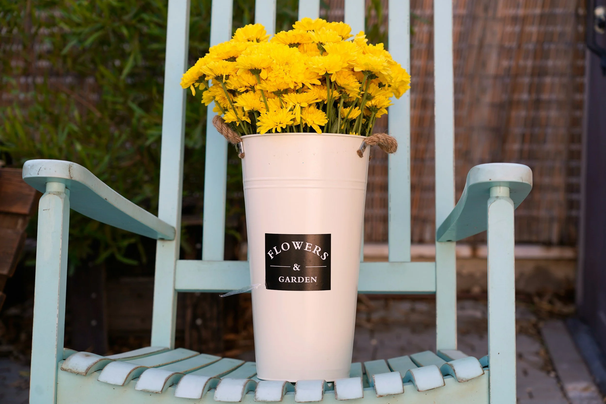 Yellow flowers in a white bucket placed on a light blue garden chair outdoors.