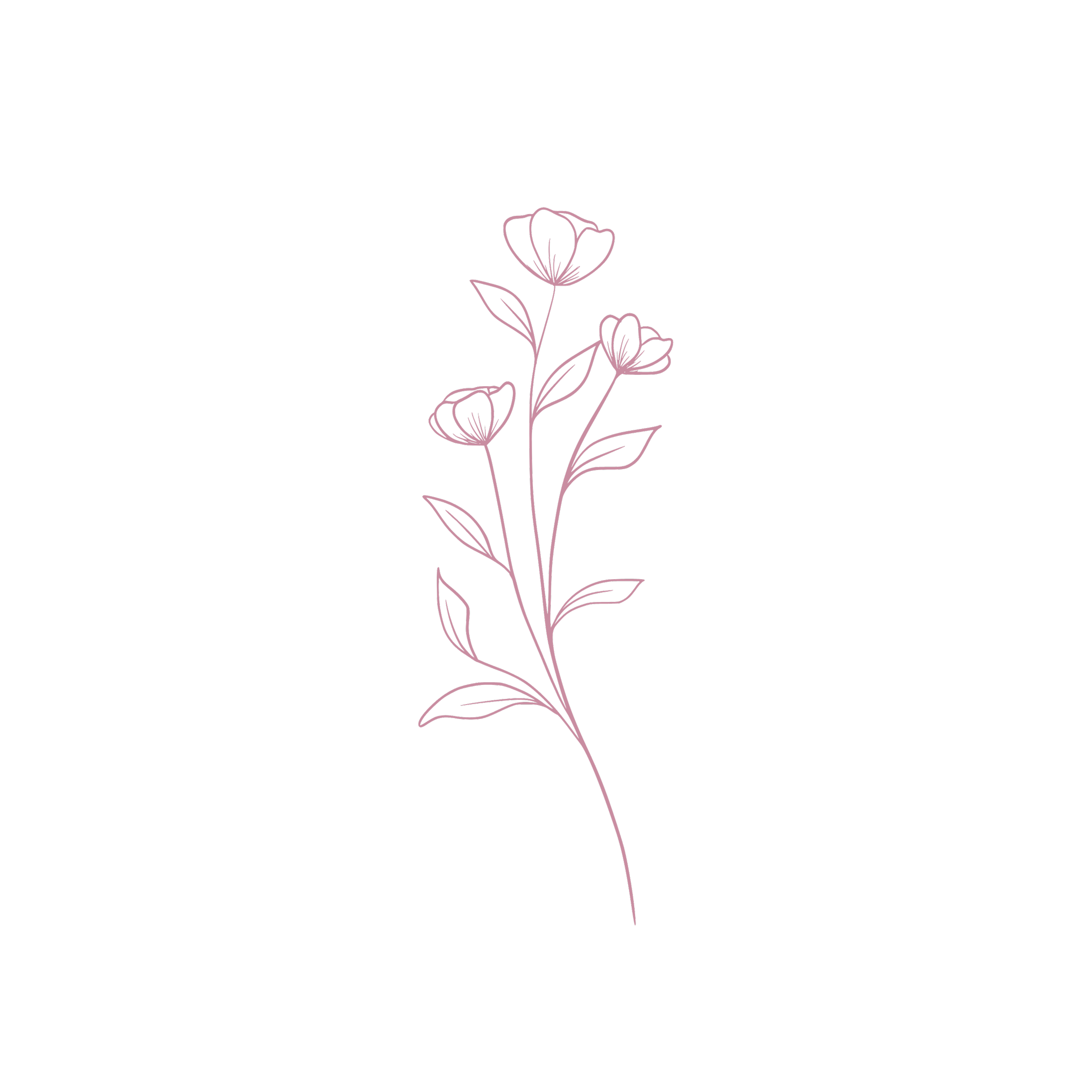 Minimalist line drawing of a flower with three blossoms and leaves, in pink color on a black background.