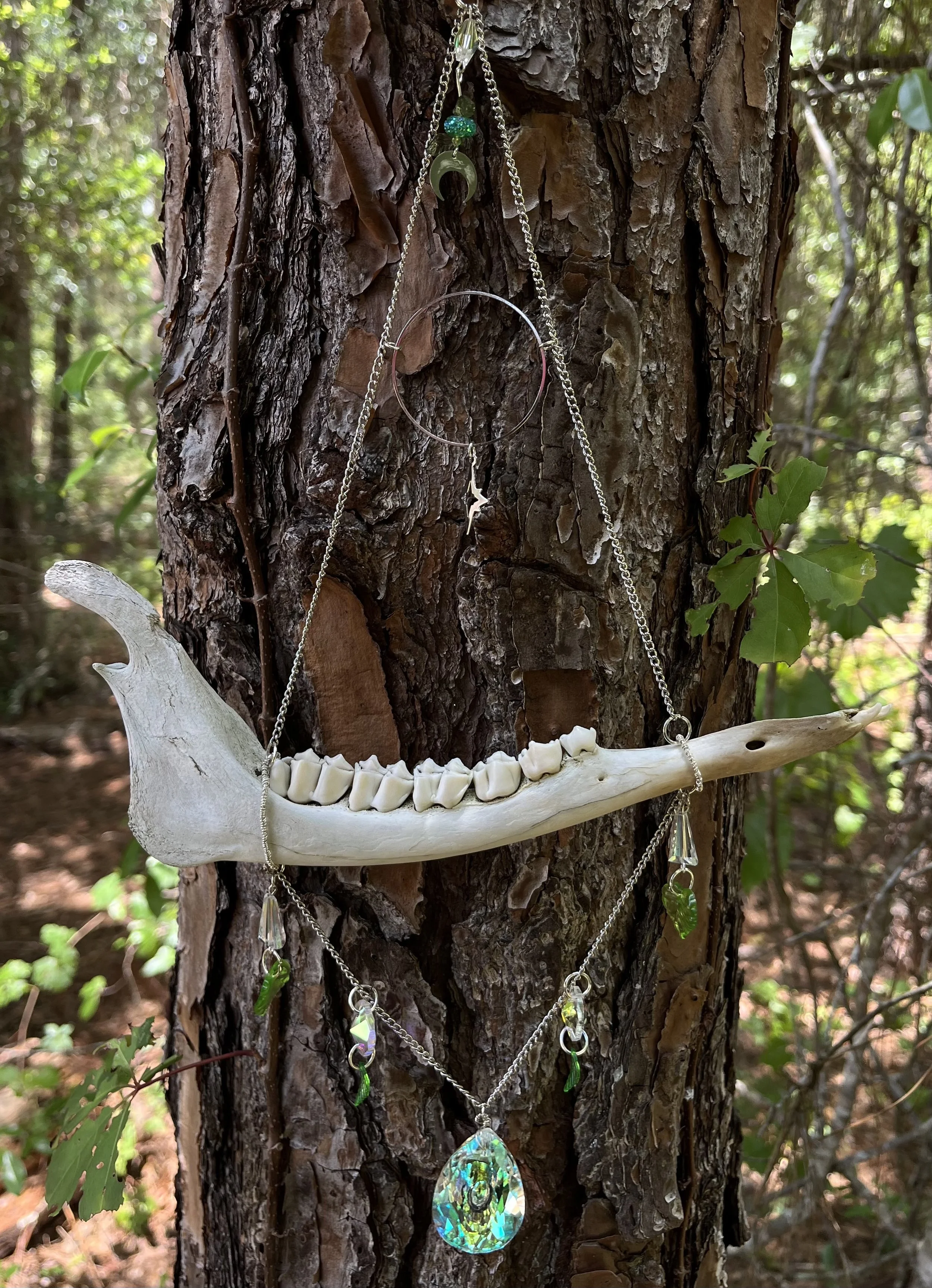 Deer Jaw Sun Catcher