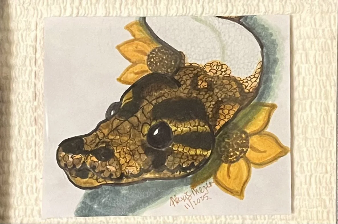 Watercolor painting of a crocodile surrounded by sunflowers, signed by artist August Mowery, dated 2015.